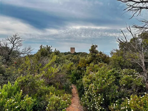 Torre di Collelungo