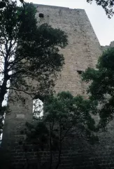 Torre di Donoratico (Donoratico Castle)