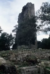 Torre di Donoratico (Donoratico Castle)
