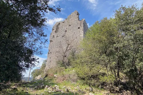 Castello di Montegrossi