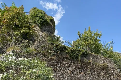 Mulazzo - Castello Malaspina e Torre di Dante