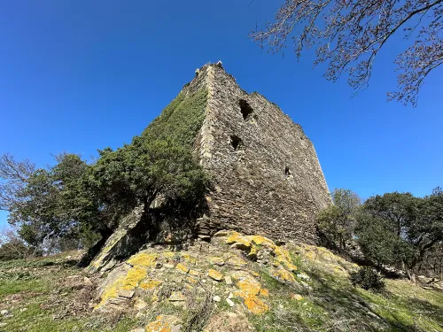 Roccaccia di Montauto