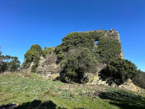 Roccaccia di Montauto