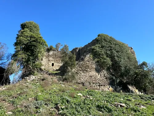 Roccaccia di Montauto