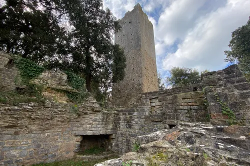 San Rabano Abbey and Uccellina Tower