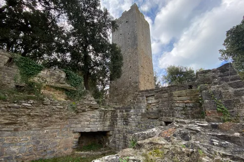 Abbazia di San Rabano e Torre dell'Uccellina