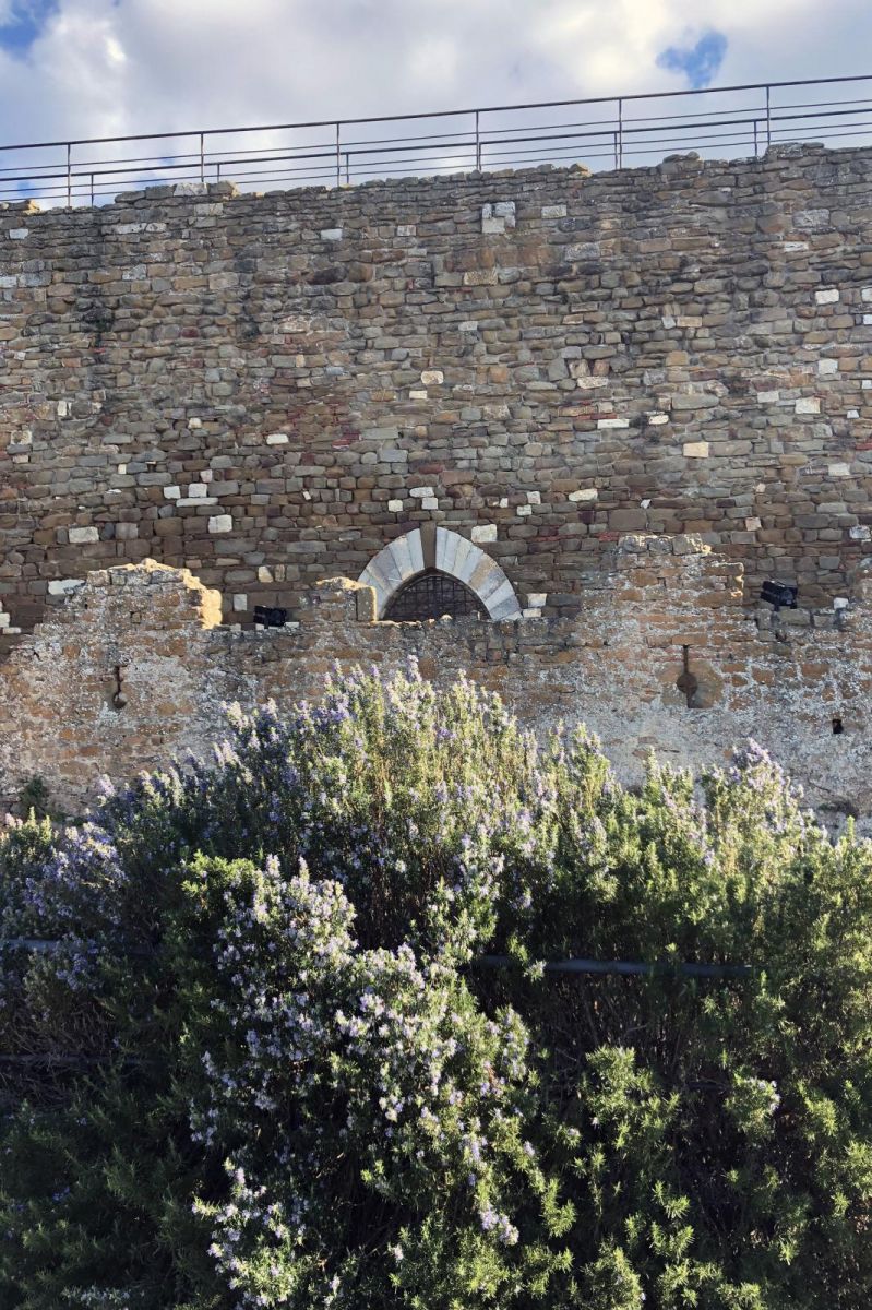 Castello di Scarlino, Rocca Pisana Grosseto