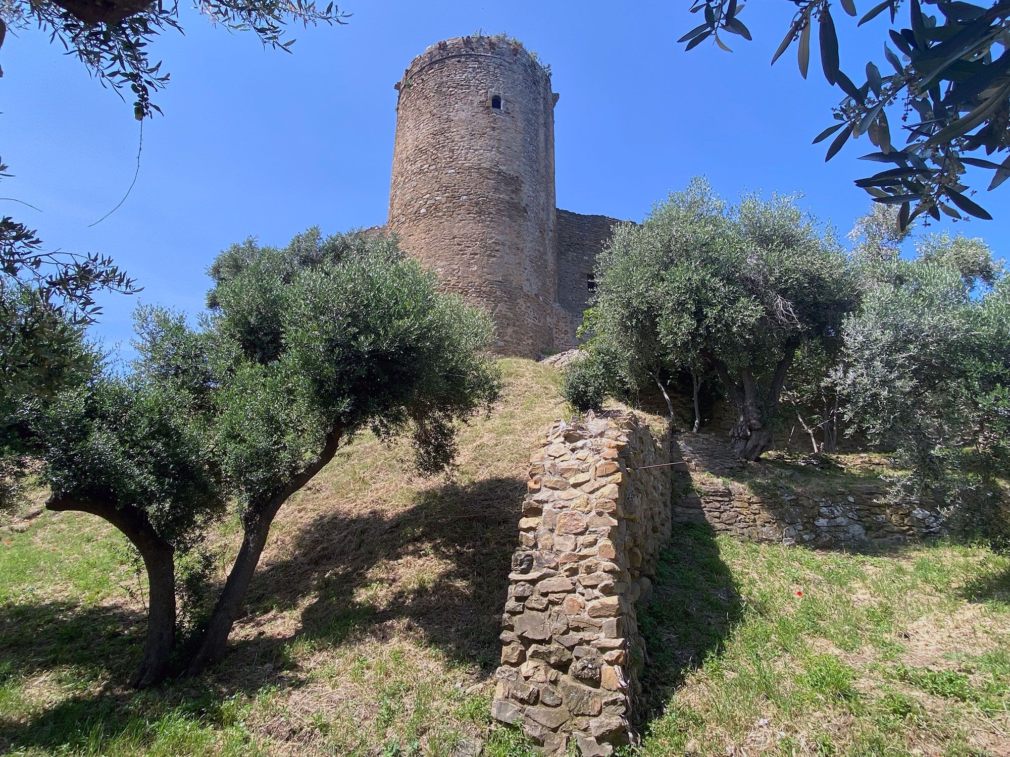 Castello di Scarlino, Rocca Pisana Grosseto