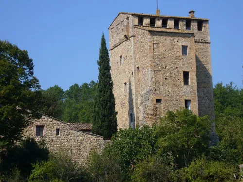Stigliano