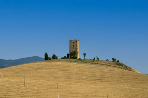 Tarugi Tower