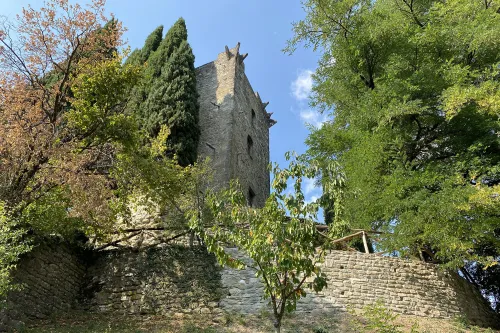 Castello della Verrucola de' Bosi