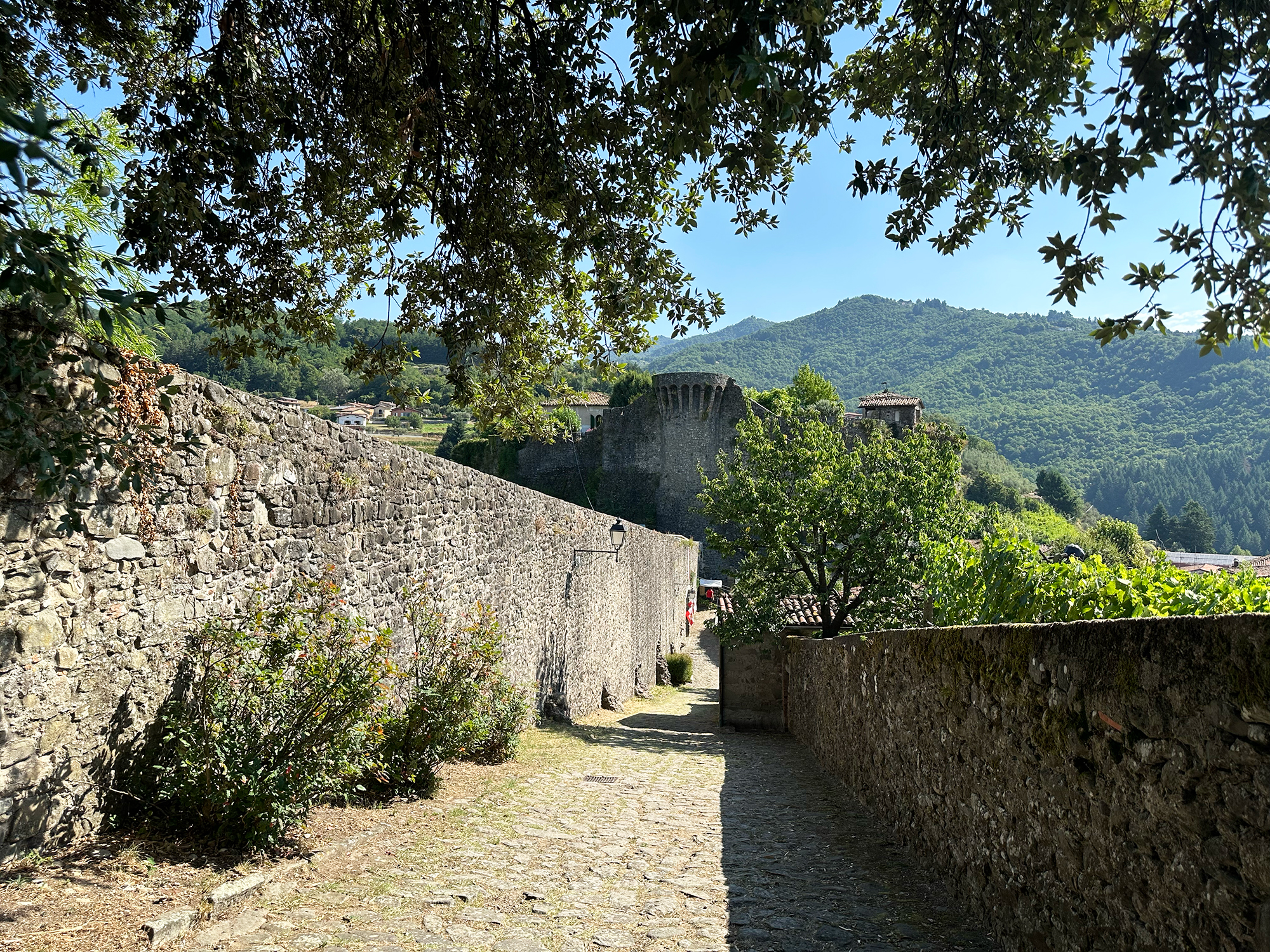 Castiglione di Garfagnana Castle and Town Walls 