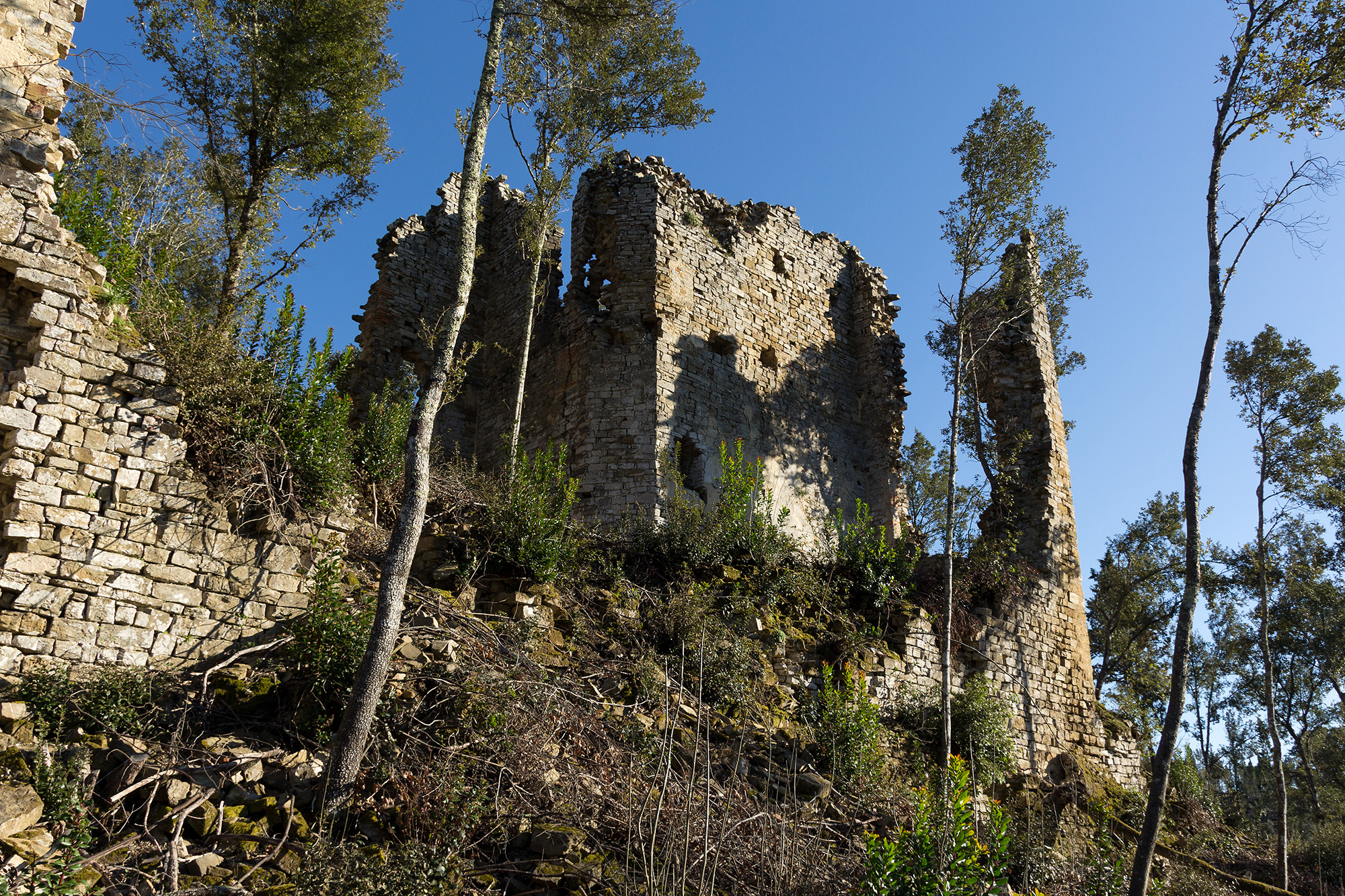 Castello di Cepparello