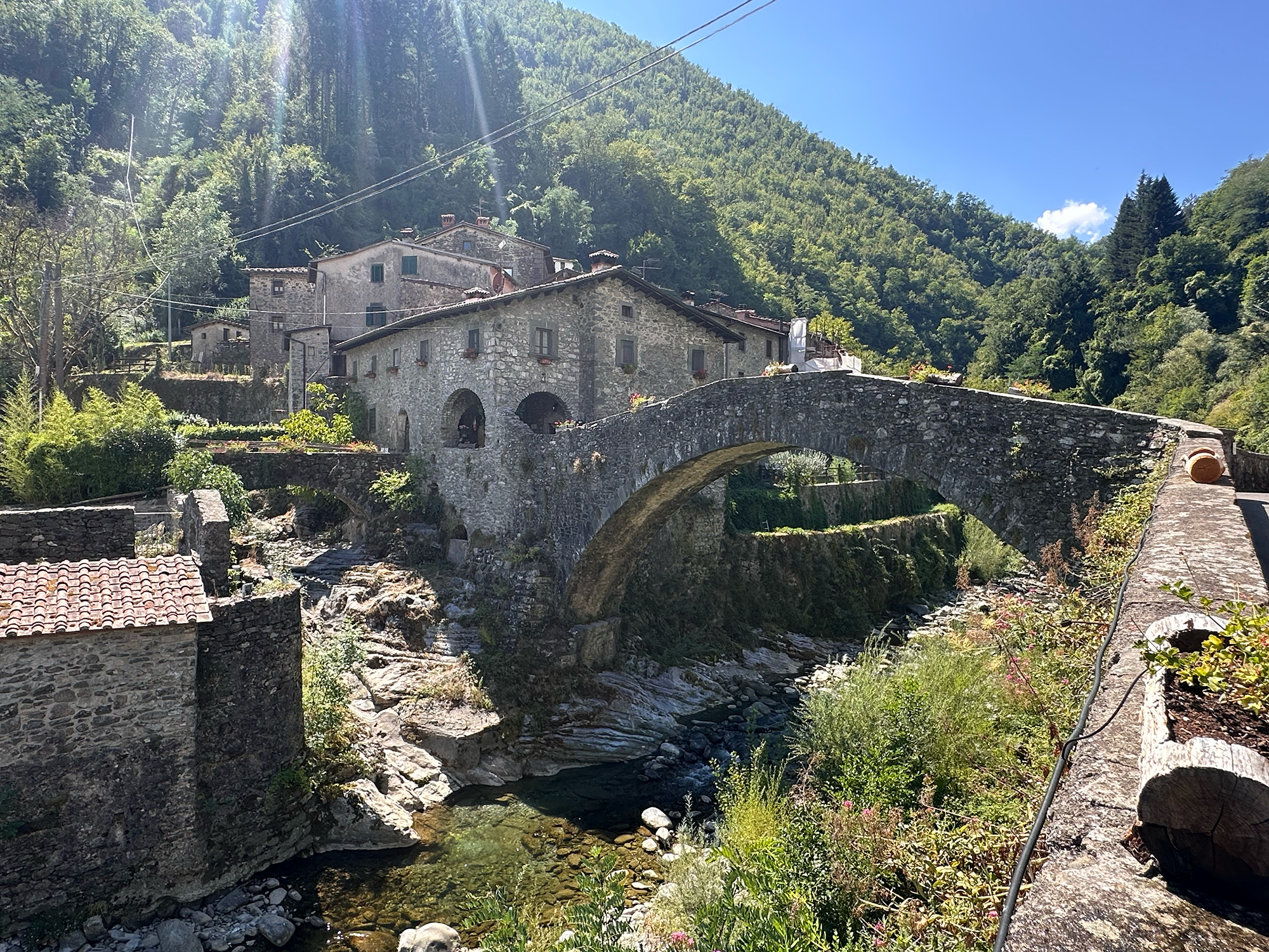 Ponte della Dogana