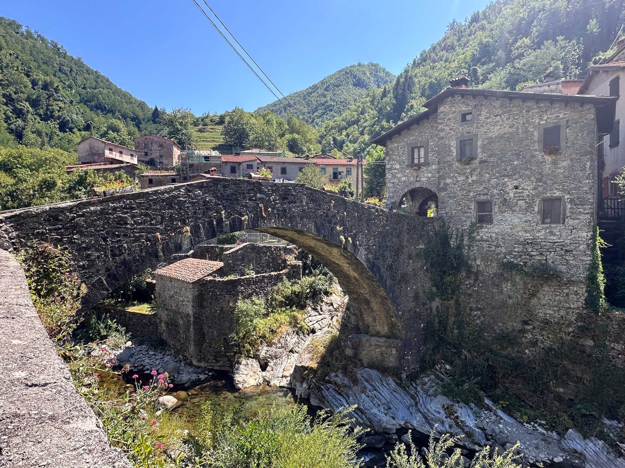 Ponte della Dogana