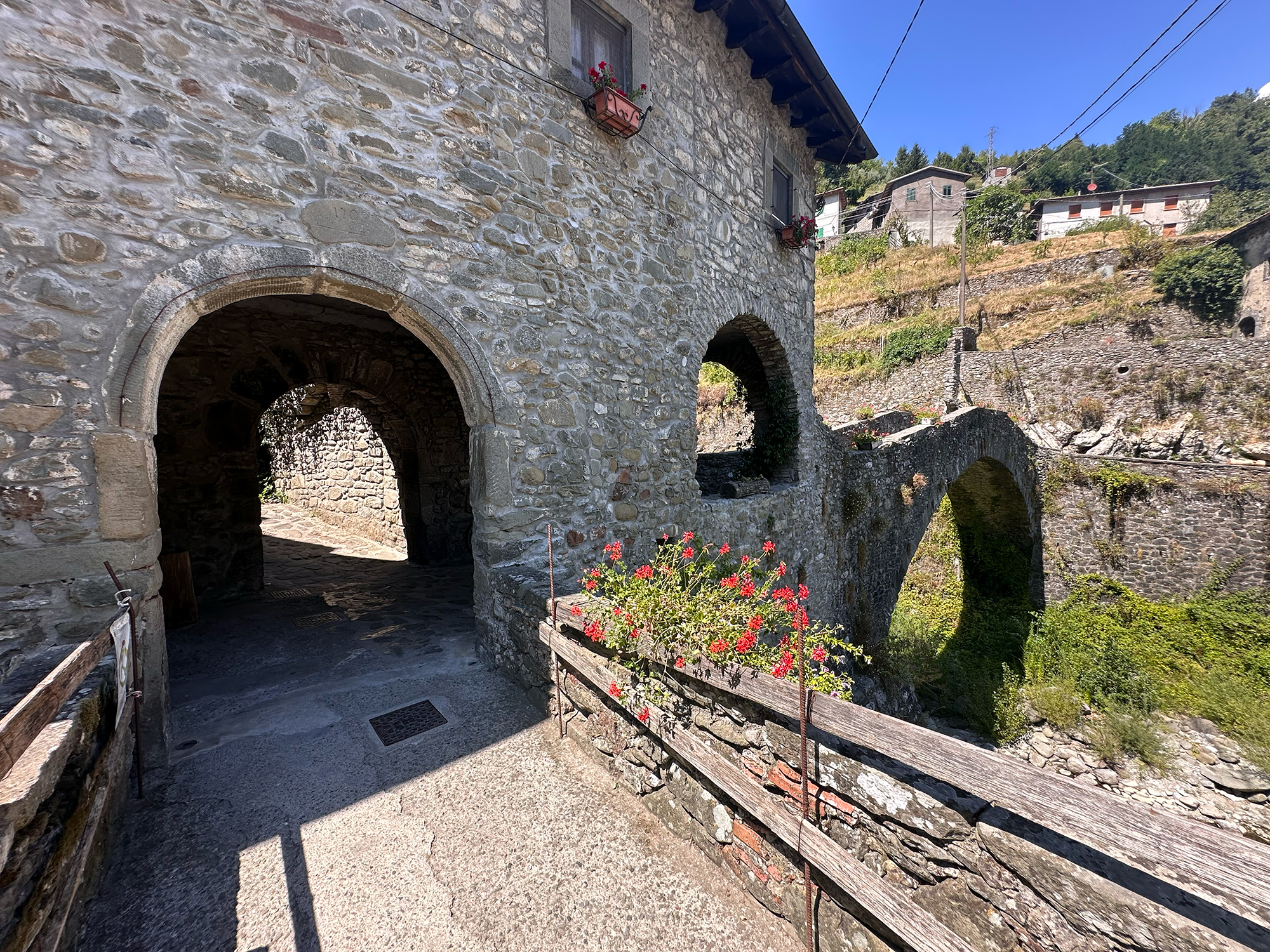 Ponte della Dogana