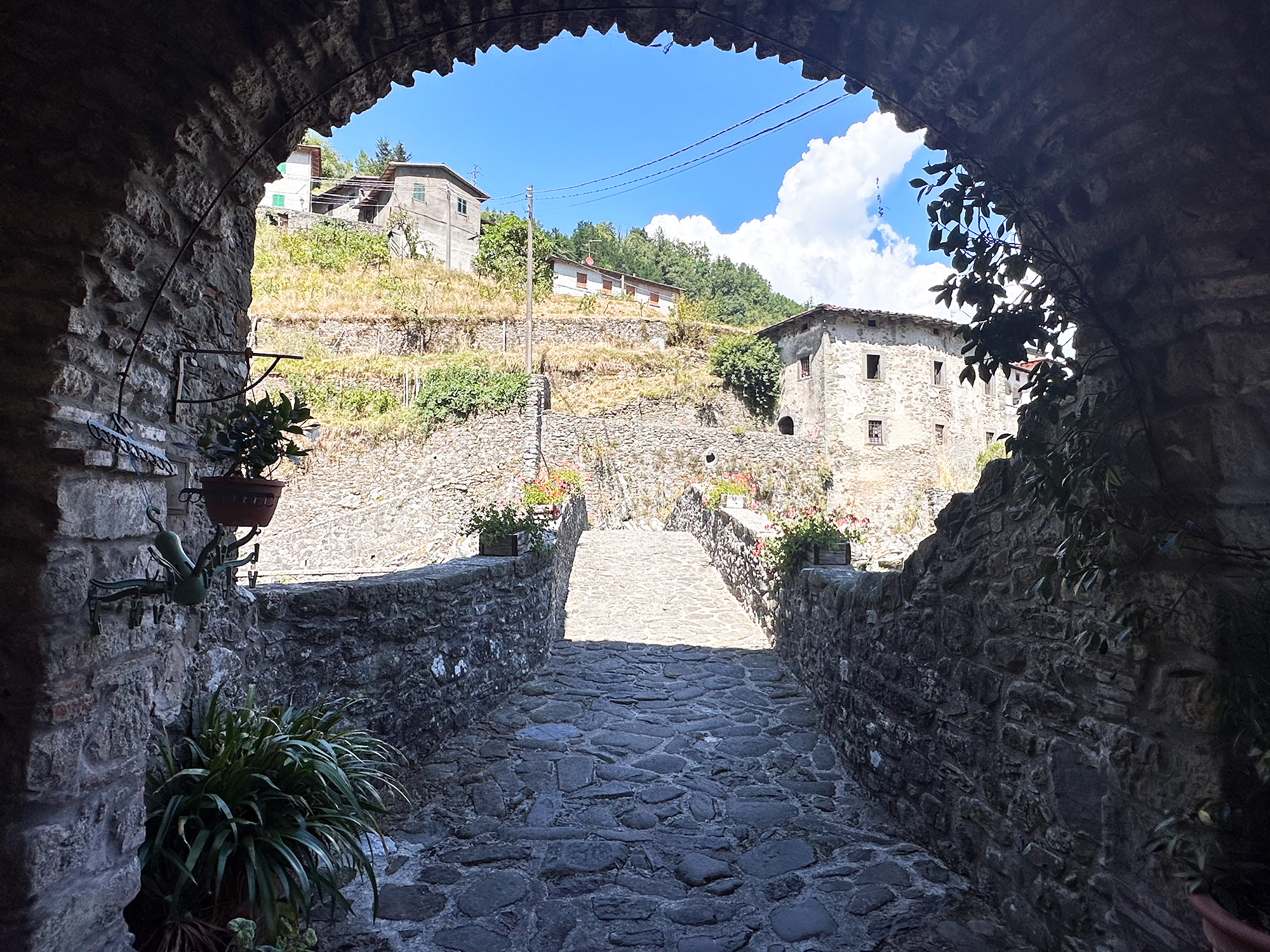 Ponte della Dogana