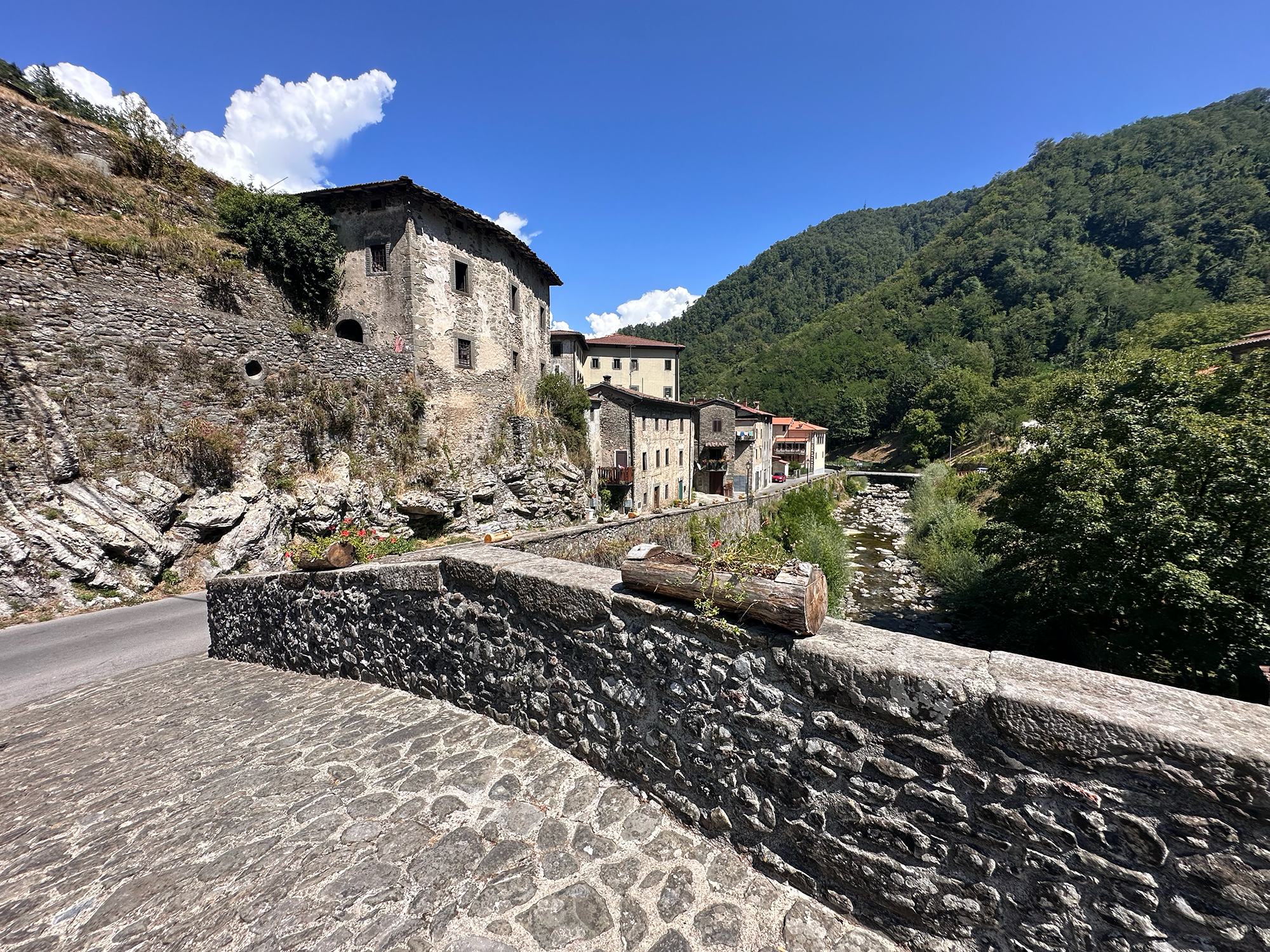 Ponte della Dogana
