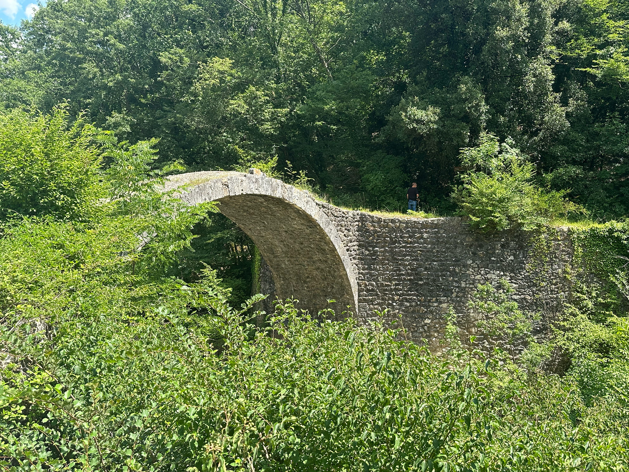 Pia's Bridge
