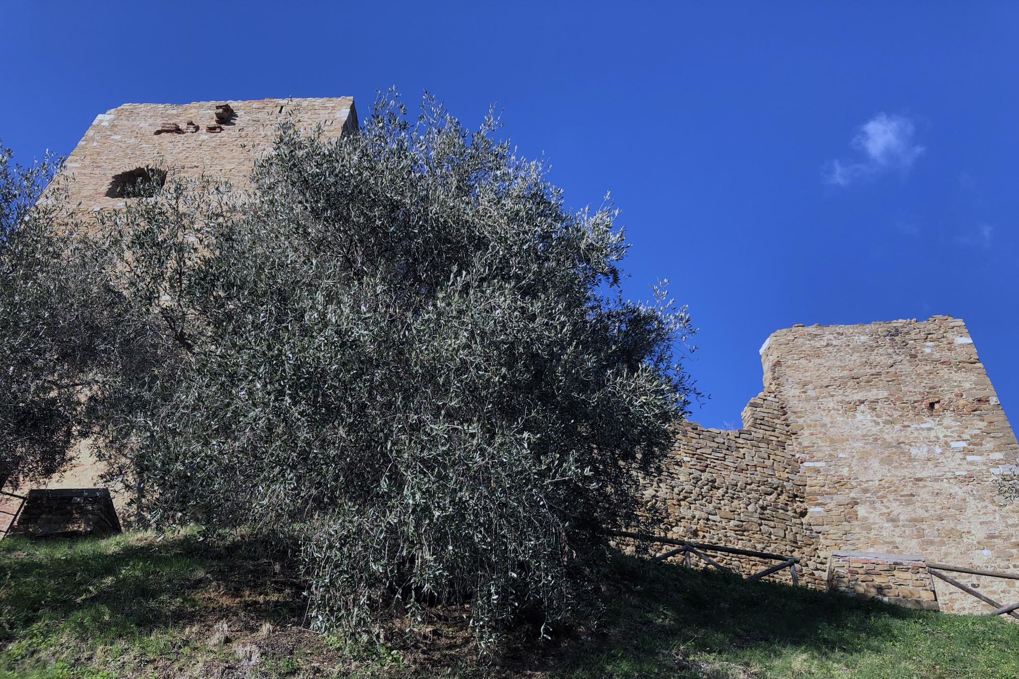 Rocca Pisana - Scarlino Castle