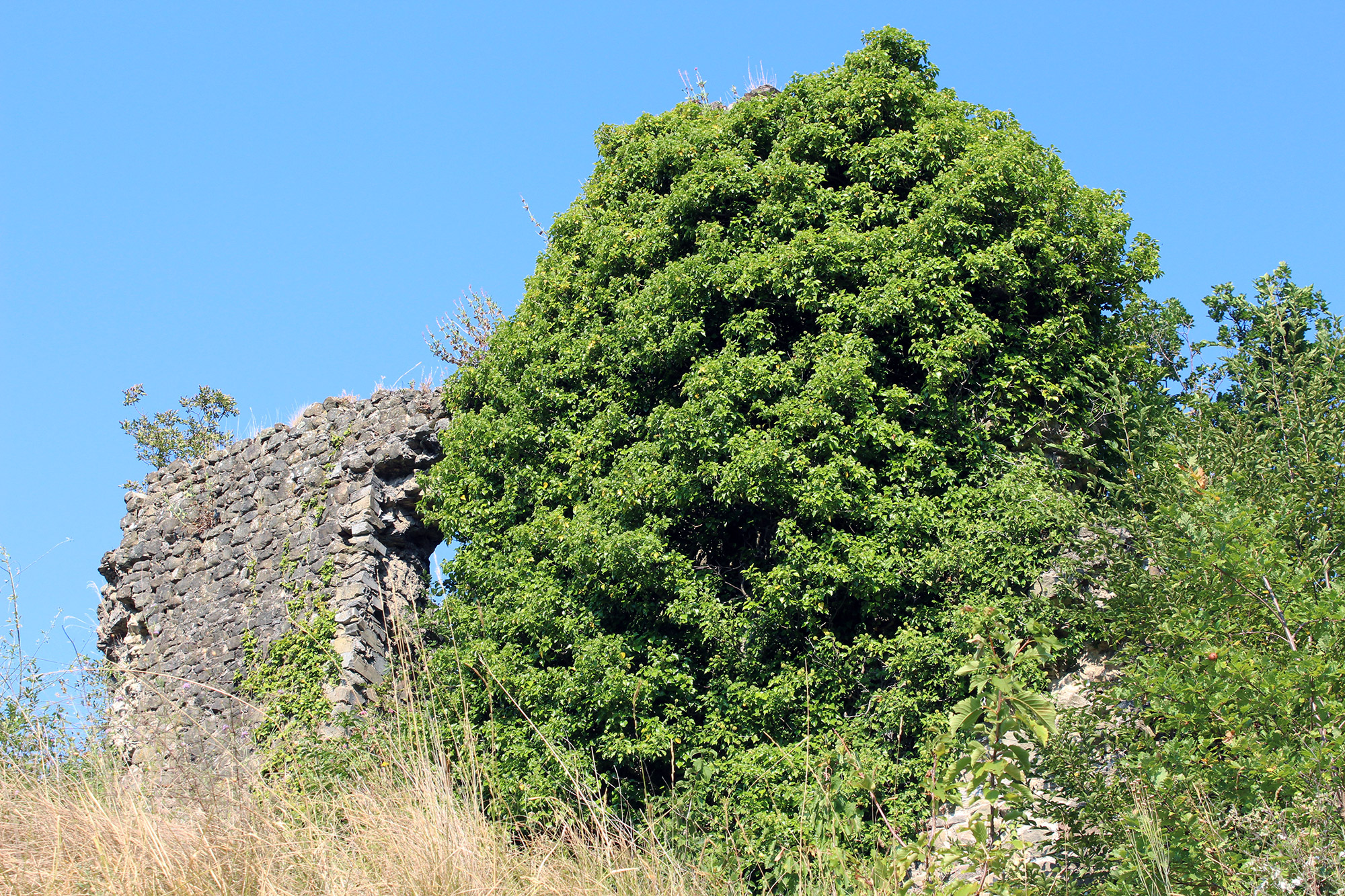 Treschietto Castle