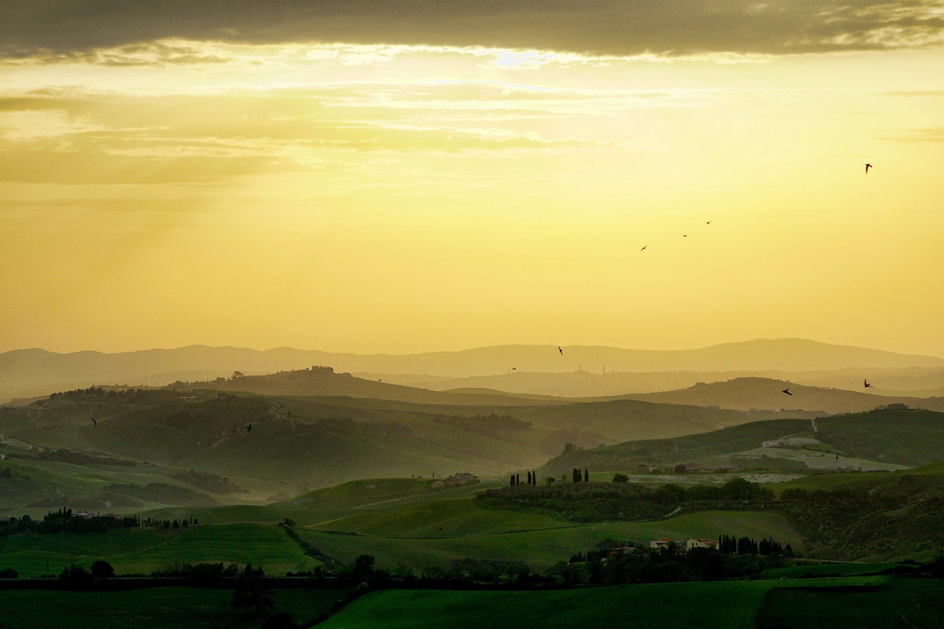 Tuscany Experiences