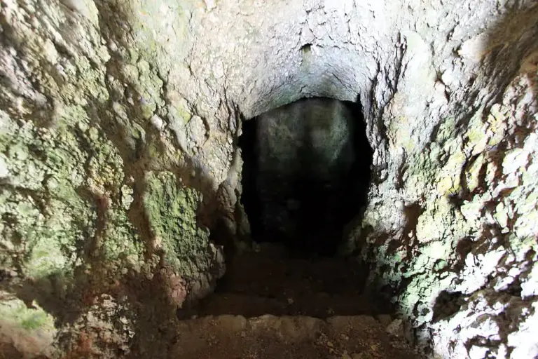 Castello degli Accarigi 5