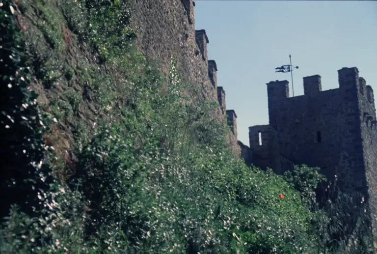 Castello di Battifolle 3