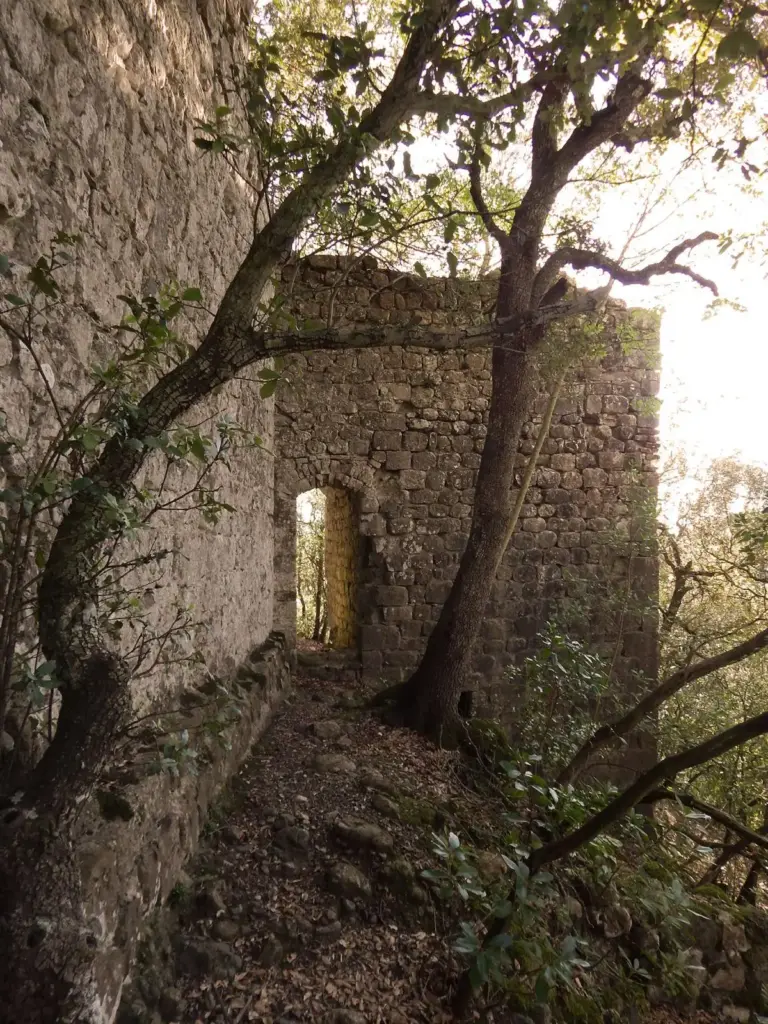 Castello dei Vescovi (Rocca di Berignone) 7