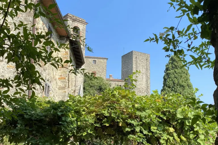 Castiglione del Terziere 3