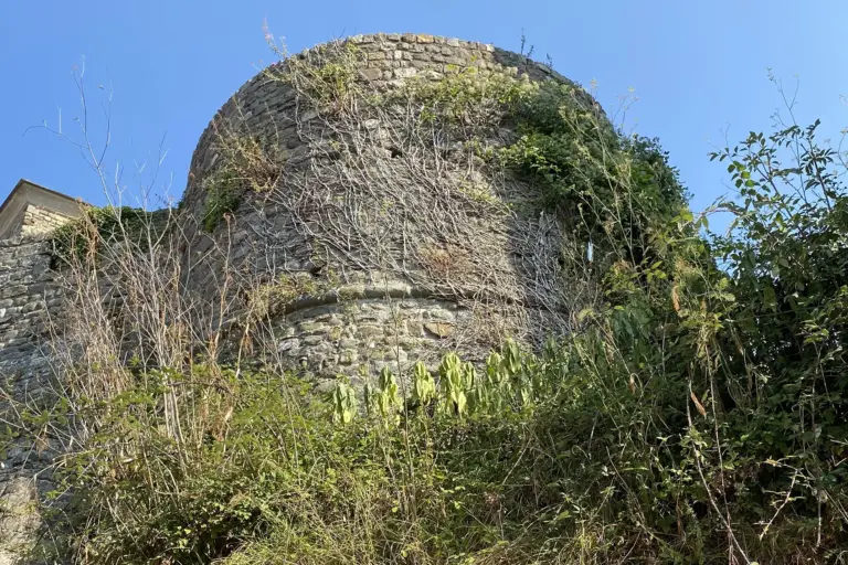 Castiglione del Terziere 9