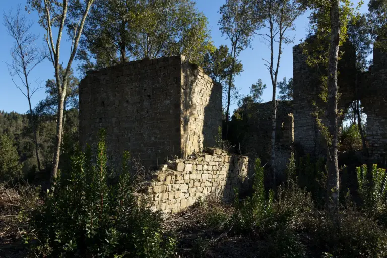 Castello di Cepparello 1