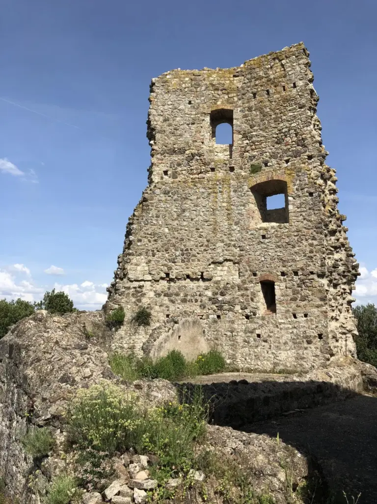 Castello di Crevole 5