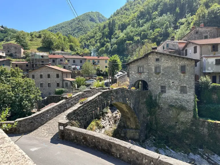 Ponte della Dogana 3
