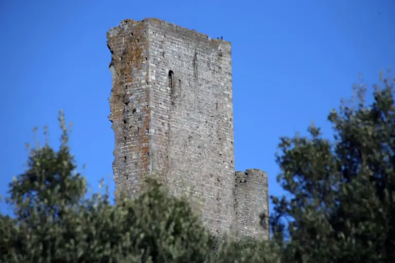 Torre di Donoratico 1