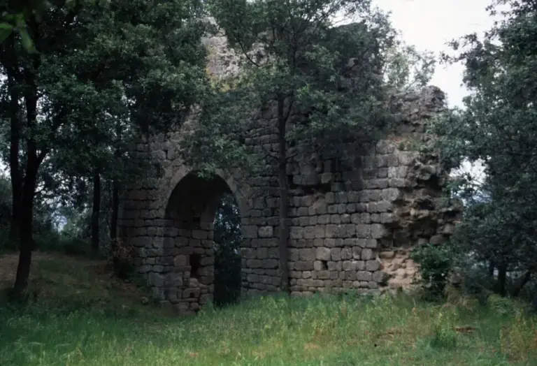 Torre di Donoratico 2