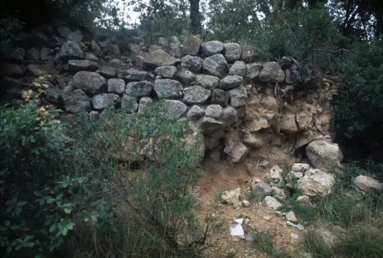 Torre di Donoratico 3