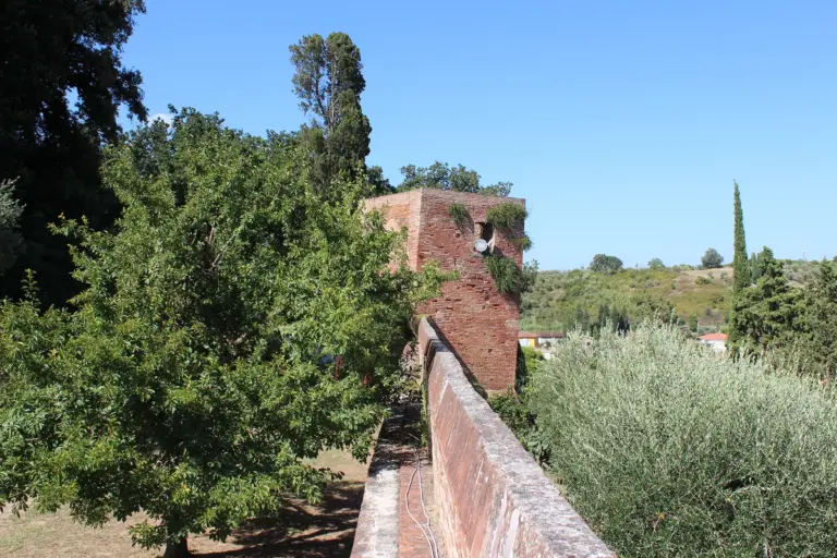 Castello di Salamarzana - Rocca Fiorentina - Fucecchio 8