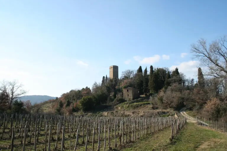 Torre di Galatrona 1