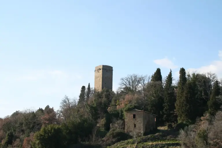 Torre di Galatrona 3