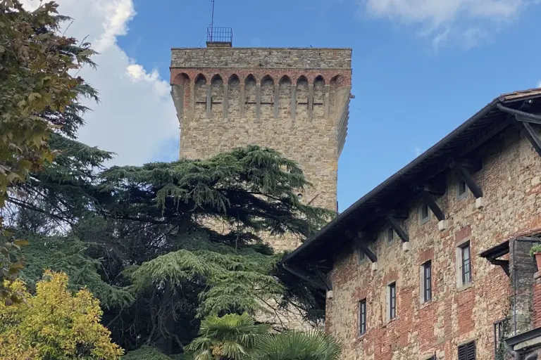 Lucignano - Rocca Senese e Mura 4
