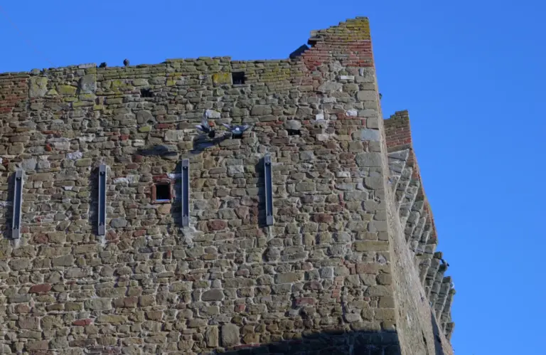 Rocca di Marciano della Chiana 10
