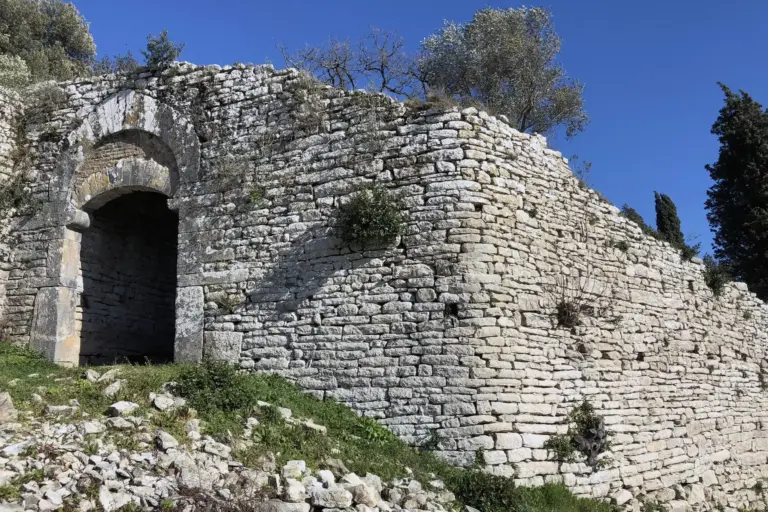 Castello di Monsummano Alto 4