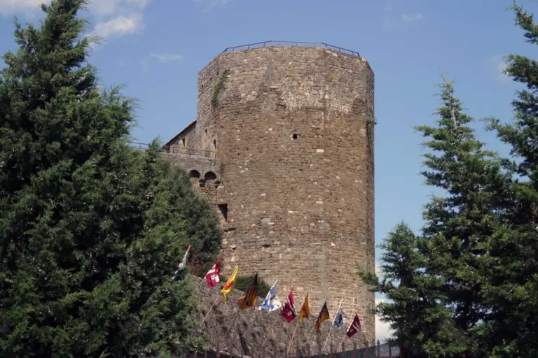 Castello di Montalcino 17