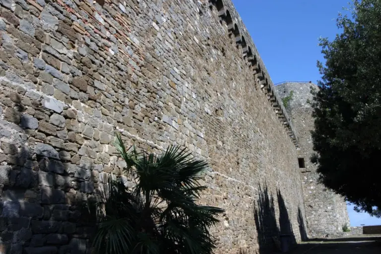 Castello di Montalcino 16