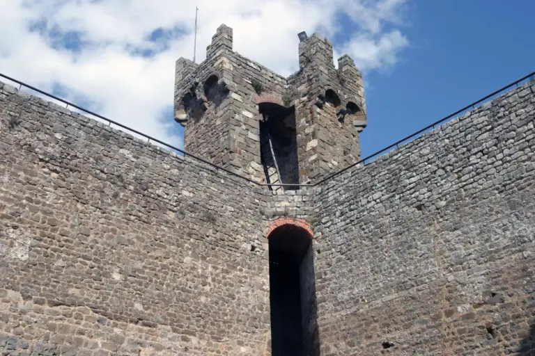 Castello di Montalcino 14