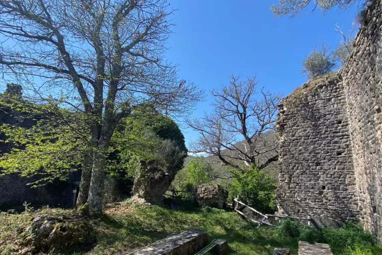 Castello di Montedomenichi 9