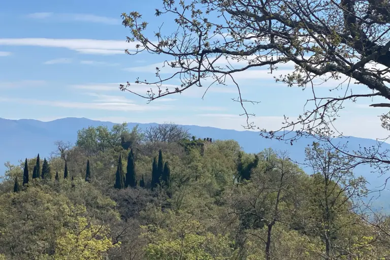 Castello di Montedomenichi 15