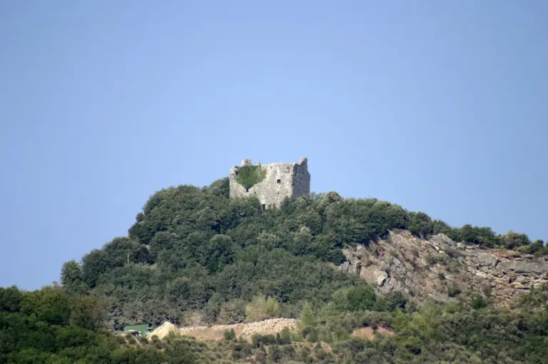 Castello di Montegrossi 1