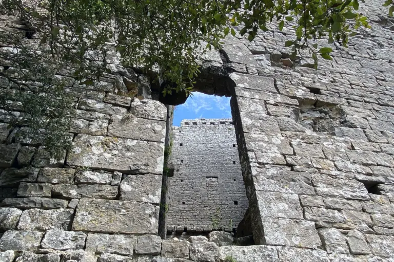 Castello di Montegrossi 8